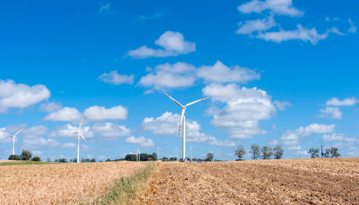 Multiple wind turbines scattered across farmland under a bright sky, reflecting the shift toward renewable solutions amid Climate Changes in UK.