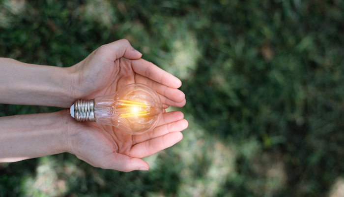 Dos manos sostienen una bombilla encendida sobre un fondo de césped, simbolizando la eficiencia y el uso responsable en el Consumo de Energía Eléctrica en Argentina.
