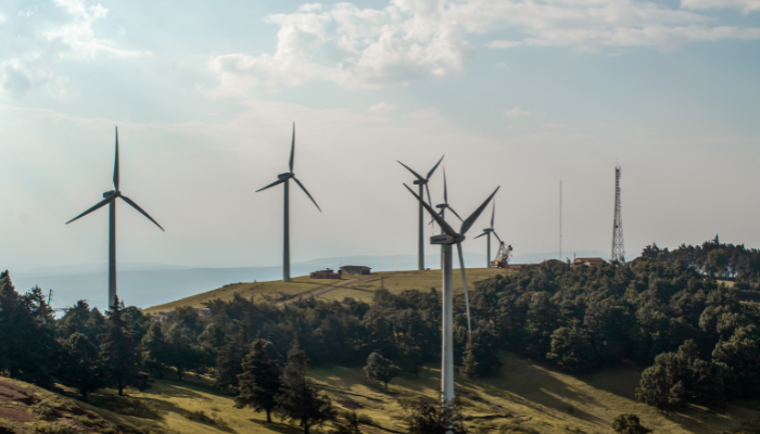 Varios aerogeneradores se alzan en un paisaje con árboles, representando la diversificación de fuentes energéticas