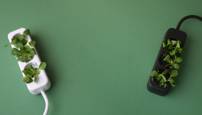 A hand plugs a three-pronged electrical cord into a grassy socket, symbolizing eco-friendly energy connections.