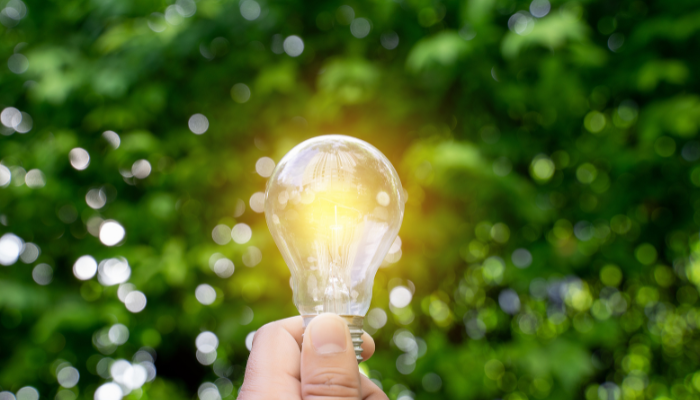 A glowing light bulb is held against a lush green backdrop, symbolizing innovative strategies for Electricity Consumption in US.