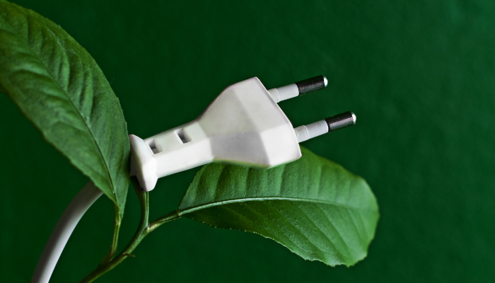 A white electrical plug rests on vibrant green leaves, representing eco-friendly approaches