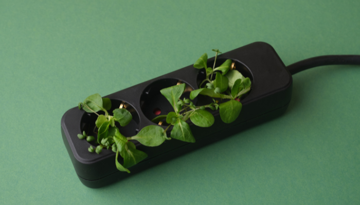 A black power strip with small green plants sprouting from its sockets, symbolizing eco-friendly energy usage.