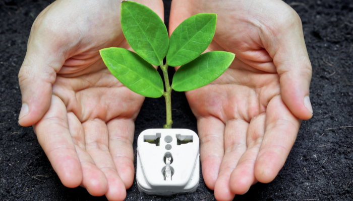 Two hands cradle a small plant sprouting from an electrical plug, highlighting the move toward eco-friendly power usage.