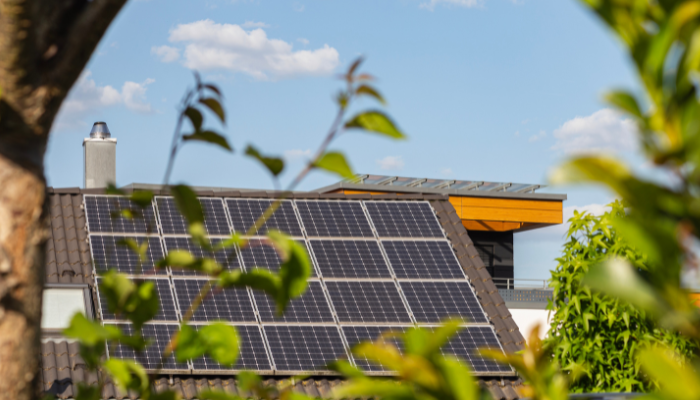 Solar panels installed on a residential rooftop, reflecting the growing adoption of renewable energy