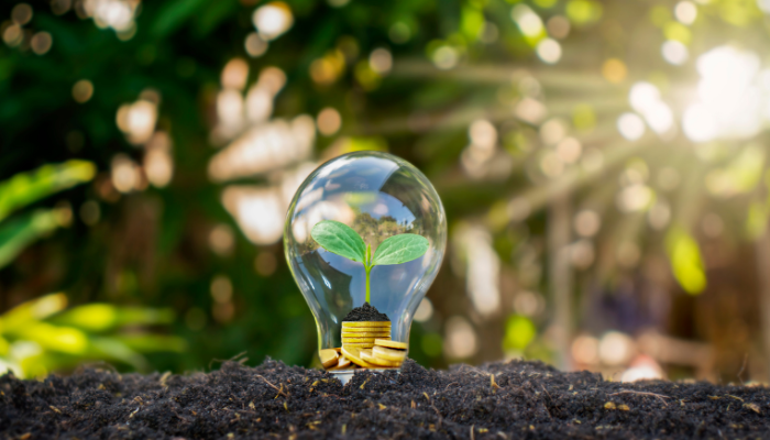Bombilla con planta creciendo en monedas, simbolizando innovación sostenible en la Distribución Eléctrica en Uruguay
