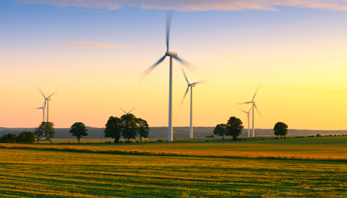 Vista panorámica al atardecer de un campo con turbinas eólicas en funcionamiento, representando de forma natural los parques eólicos en Uruguay.