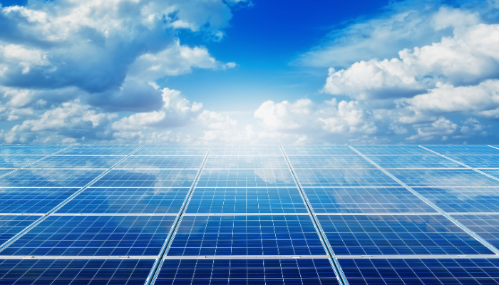 A wide array of solar panels reflects the bright sky, showcasing the expansion of Renewable Energy in the UK.