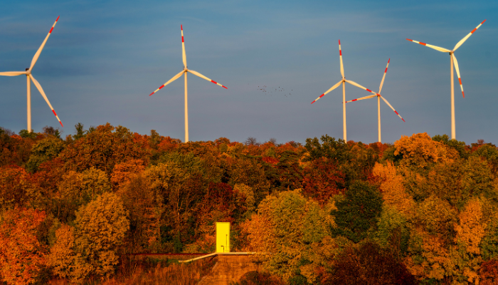 Multiple wind turbines rise above a forest in autumn hues, representing eco-friendly power generation.