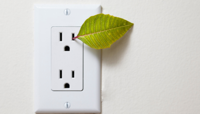 A single green leaf peeks out of a wall outlet, symbolizing eco-friendly energy solutions.