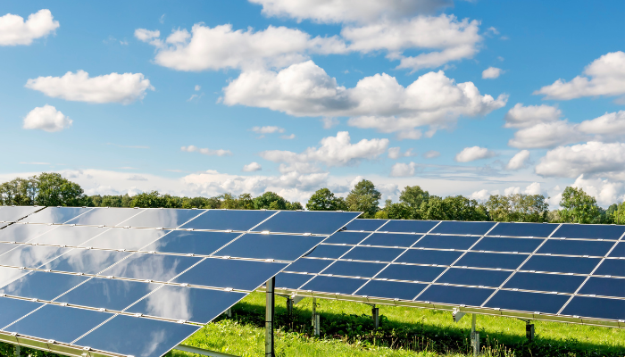 Multiple solar panels stand in a sunlit field