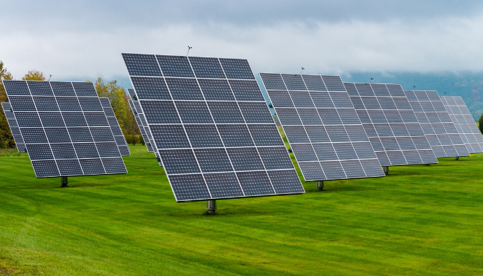 Rows of large solar panels stand on a well-maintained lawn, representing the transition to cleaner energy sources.