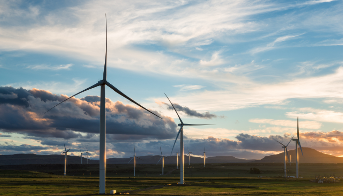 Multiple wind turbines standing across a vast landscape at sunset, highlighting the growing presence of Wind Farms in UK.
