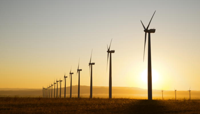 A line of wind turbines stretches across the horizon at sunset