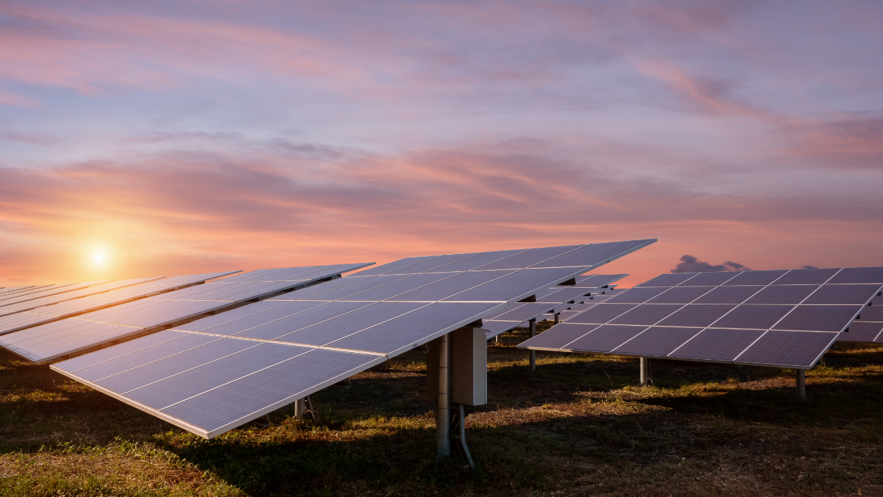 A large installation of used solar panels stretches across a rural field at sunset, capturing solar energy in a peaceful atmosphere. The image reflects how rural areas in the U.S. are adopting used solar panels as part of a broader commitment to clean and affordable energy.