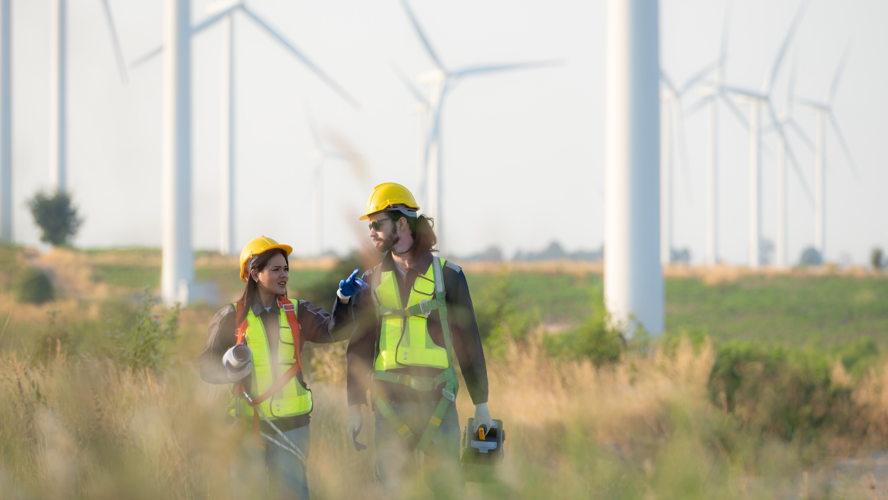 A pair of workers walk through a wind farm, engaging in discussion, as they monitor and mitigate the environmental impact of turbine installations in the U.S.