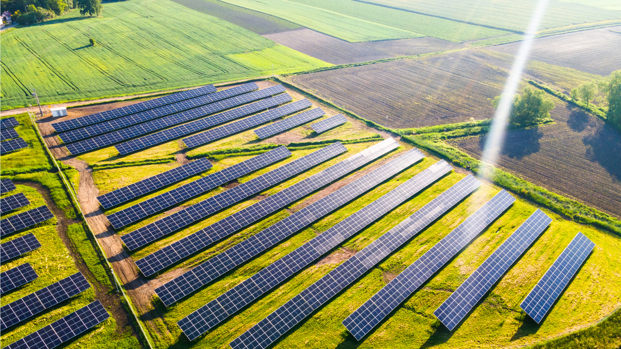 Un campo repleto de paneles solares mostrando la Energía solar fotovoltaica