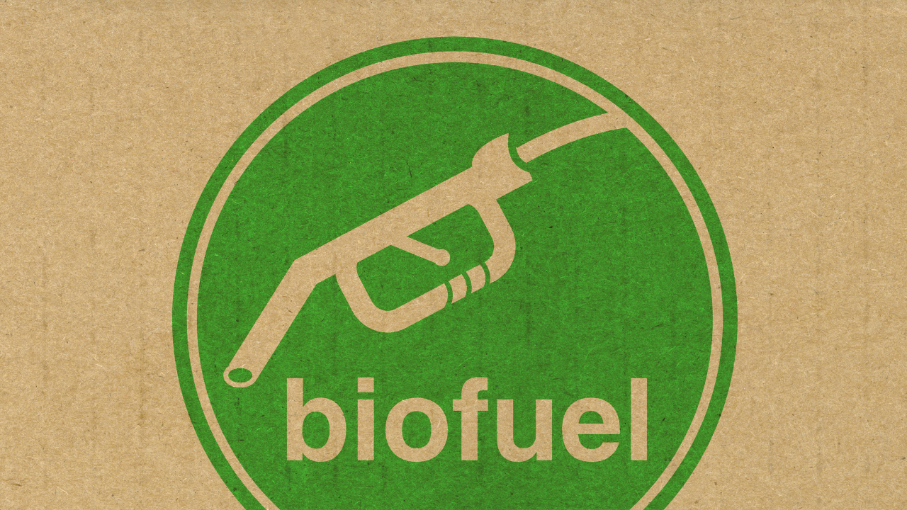 A stylized green fuel pump icon with the word "biofuel" emphasizes sustainability and eco-conscious energy sources.