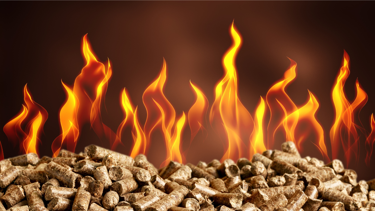 A pile of biomass pellets burns with vivid flames, illustrating the energy potential of Biomass as a clean fuel alternative in modern heating systems.