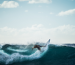 A surfer rides a powerful wave at sunset, showcasing the dynamic potential of wave energy in coastal regions.