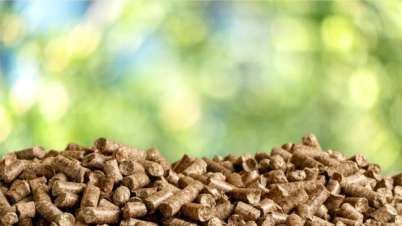 Una pila de pellets de madera se muestra frente a un fondo natural, destacando el uso de la biomasa como fuente energética sustentable en entornos rurales.