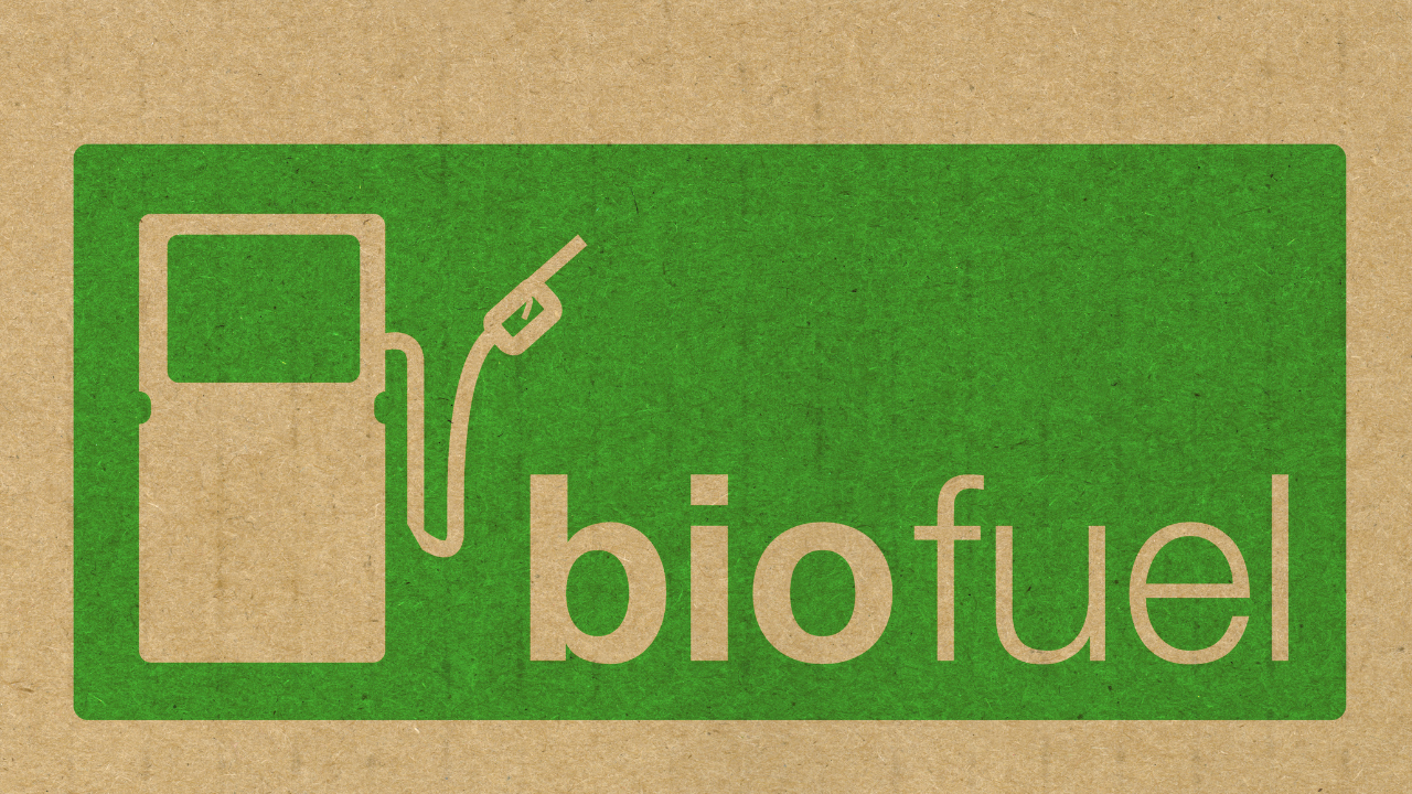 Un diseño gráfico verde y natural con una estación de servicio sugiere una transición ecológica basada en biocombustibles.