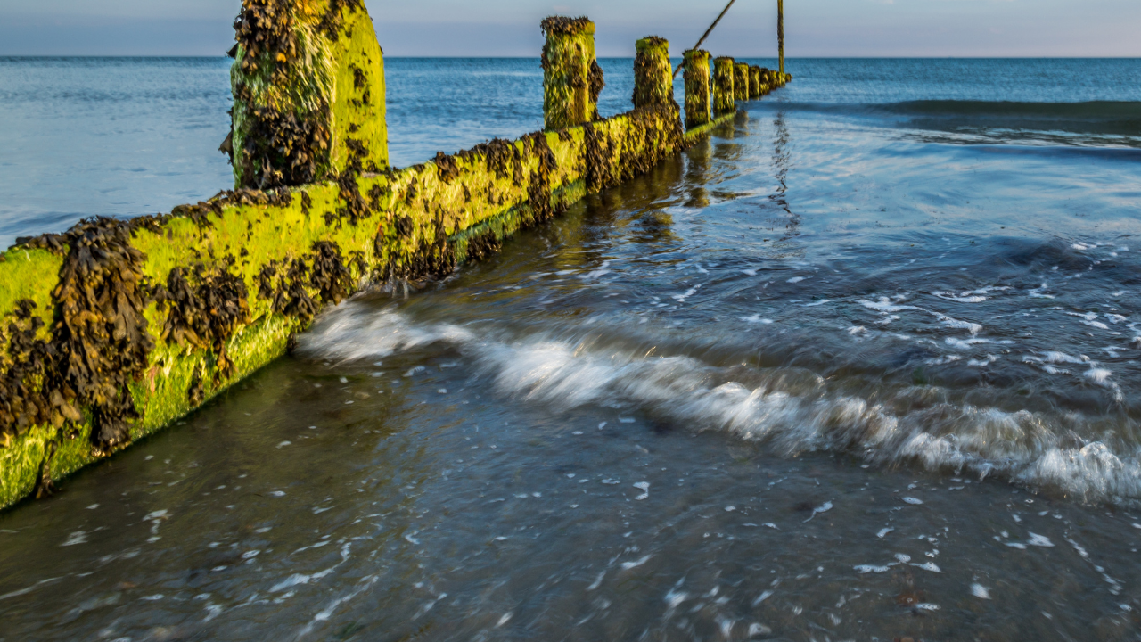 An old groyne covered in seaweed highlights the coastal interaction with tidal energy, capturing the natural force of waves along a UK shoreline.